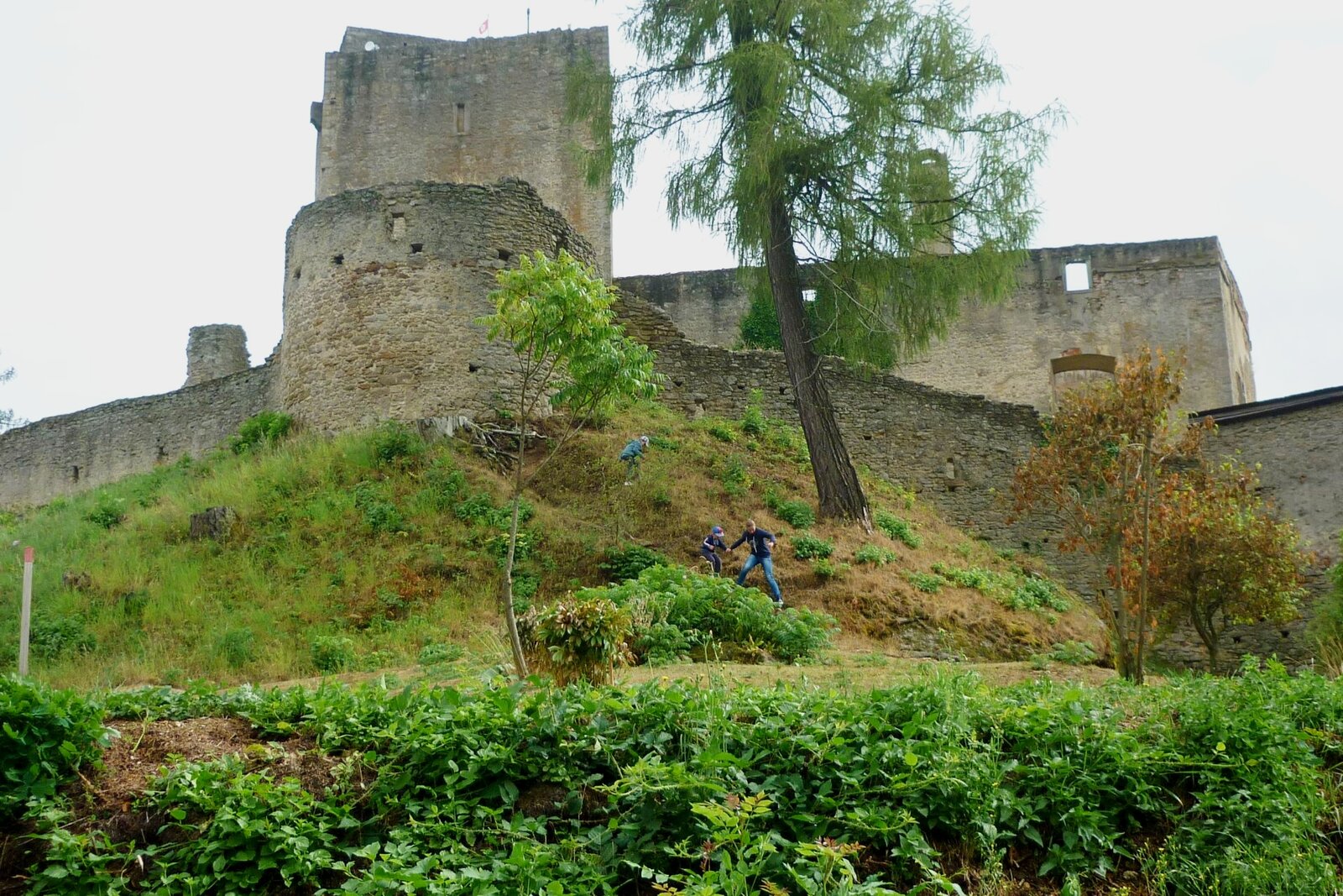 Hrad Landštejn — pohled z dálky, středověký hrad v Jižních Čechách