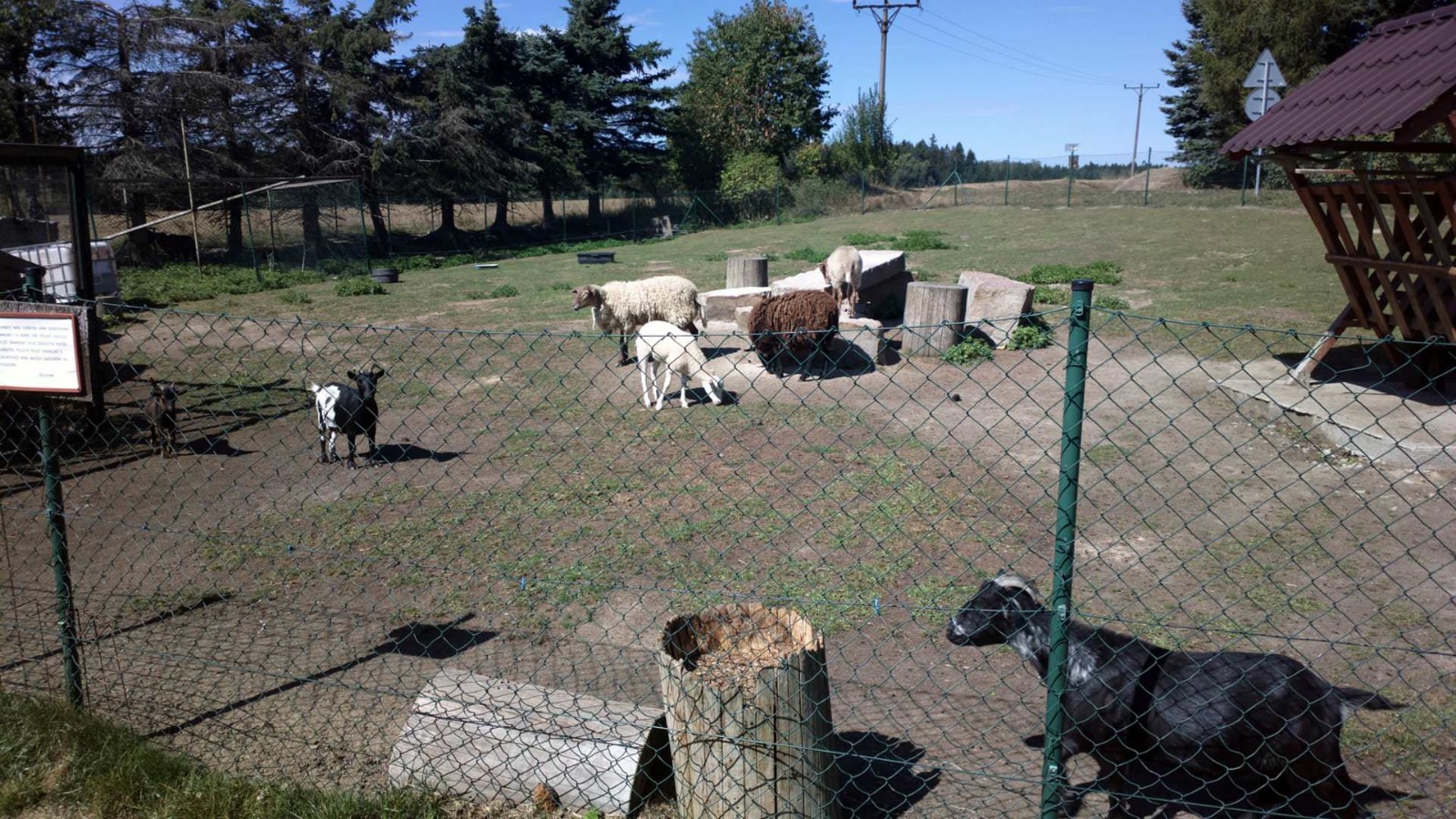 Farma se zvířátky v okolí Penzionu Lada - Nová Bystřice